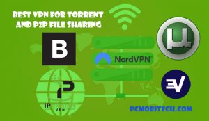 Best-VPN-for-Torrent-and-P2p-traffic