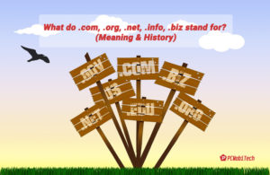 What do .com, .org, .net, .info, .biz stand for? (Meaning & History)