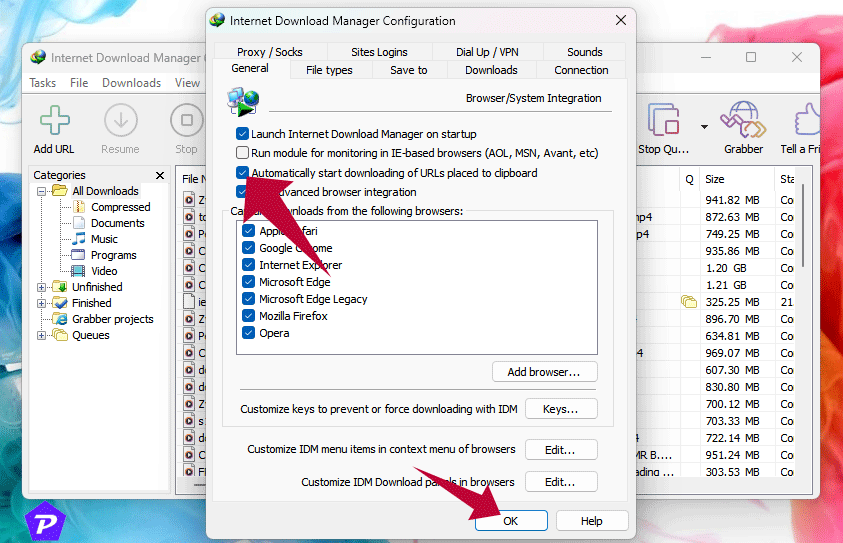 How-to-Enable-IDM-Automatically-Start-Downloading-URLs-from-Clipboard