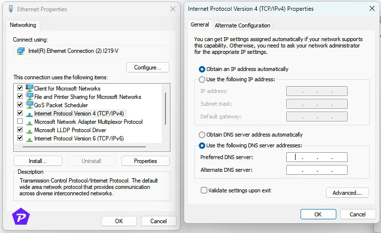 DNS alternate dns server