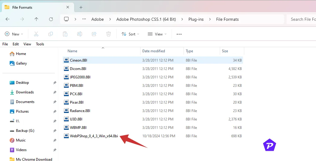 paste webp plugin into the photoshop plugins directory