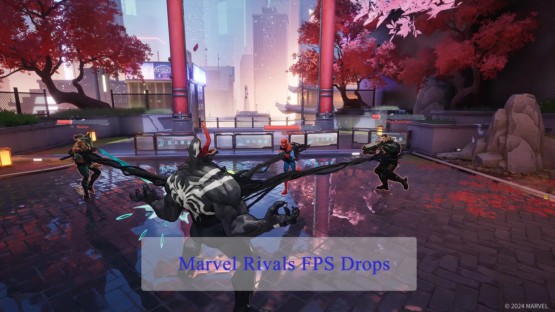 Marvel Rivals FPS Drops